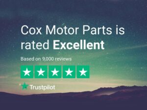 trustpilot-9000-correct