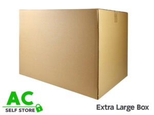 Extra Large Box MAIN
