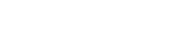 VW Logo Horizontal 1.png