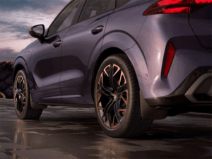 Genuine CUPRA Terramar Rear Mudflaps (578075101)