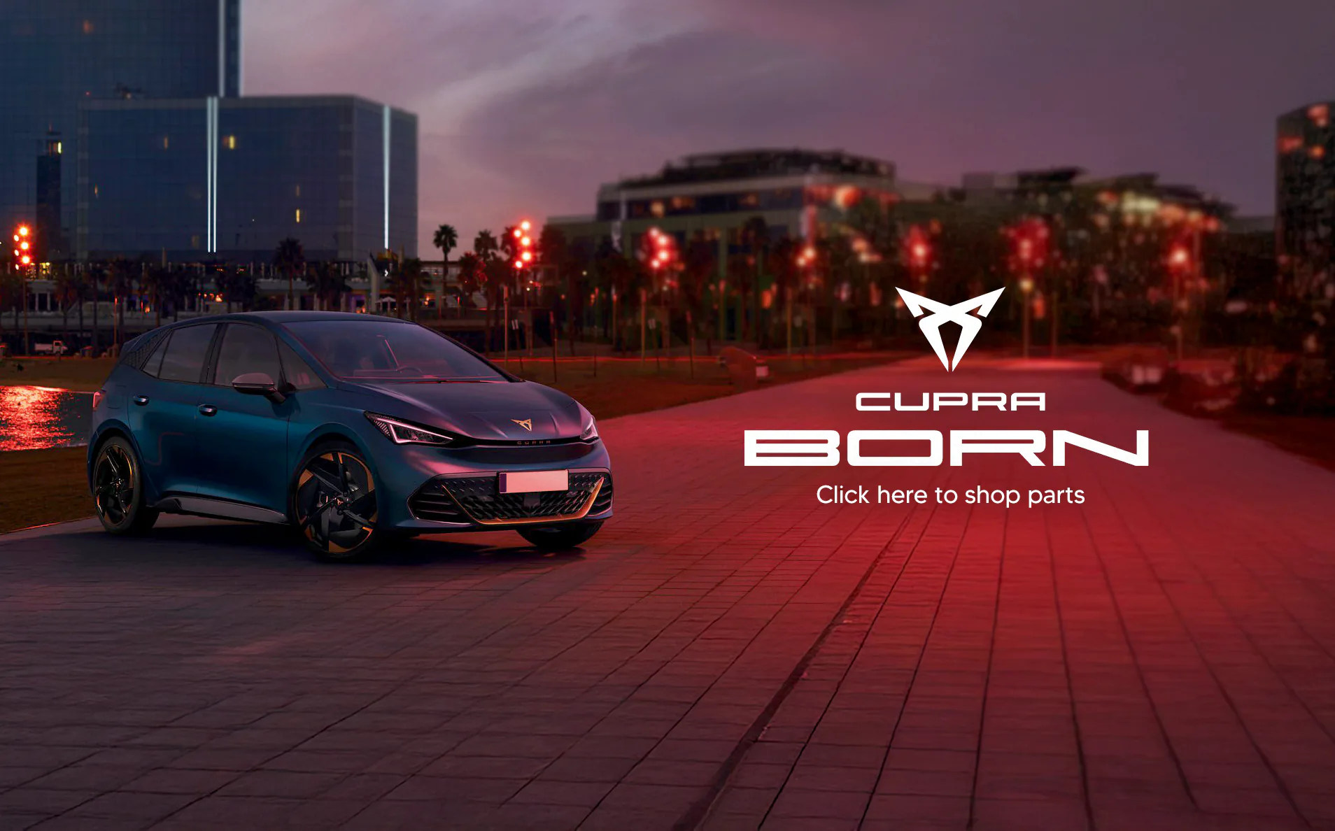 BORN model banner DESK