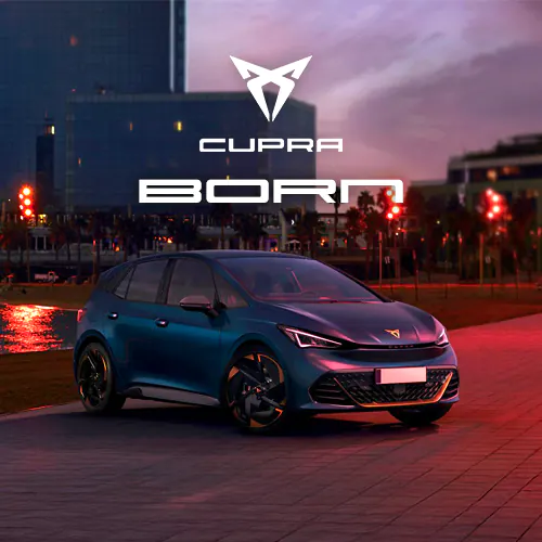 BORN model banner MOB