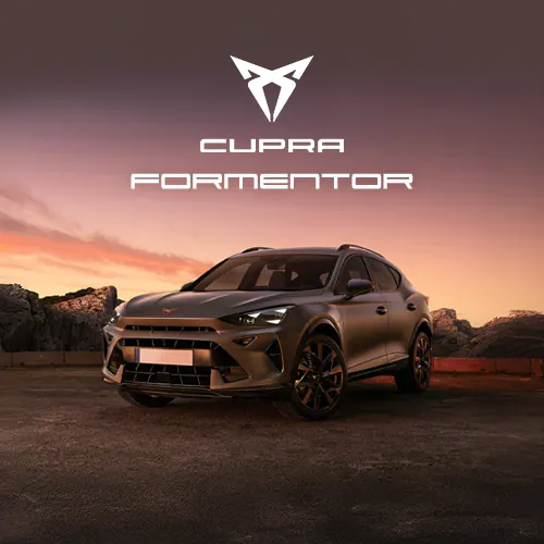 FORMENTOR model banner MOB